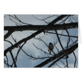 Chickadee (Front Horizontal)