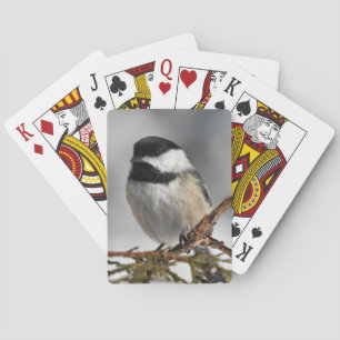 Chickadee_9478 Poker Cards