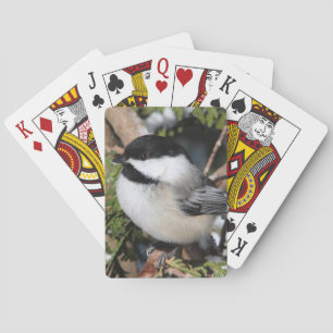Chickadee_9530 Poker Cards