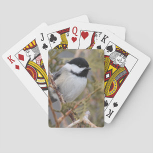 Chickadee_9654 Poker Cards