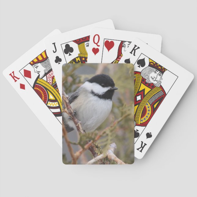 Chickadee_9654 Poker Cards (Back)