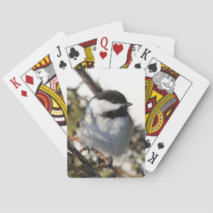 Chickadee 9693 poker cards