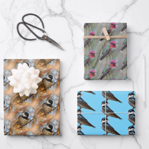 Chickadee  Annas Hummingbird  Tree Swallow Wrapping Paper Sheets