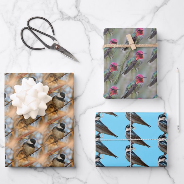 Chickadee / Anna's Hummingbird / Tree Swallow Wrapping Paper Sheets (Front)