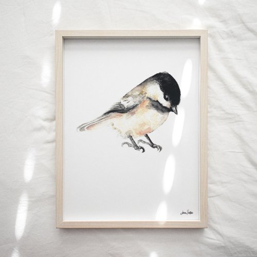 Chickadee Art Print