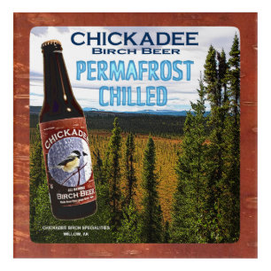 Chickadee Birch Beer Acrylic Print