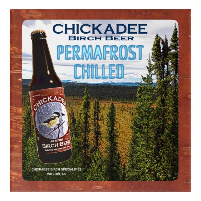 Chickadee Birch Beer Acrylic Print (Front)