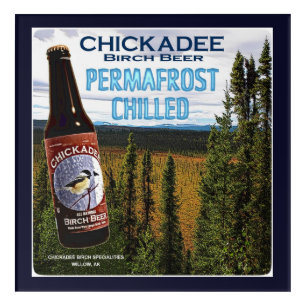 Chickadee Birch Beer Acrylic Print