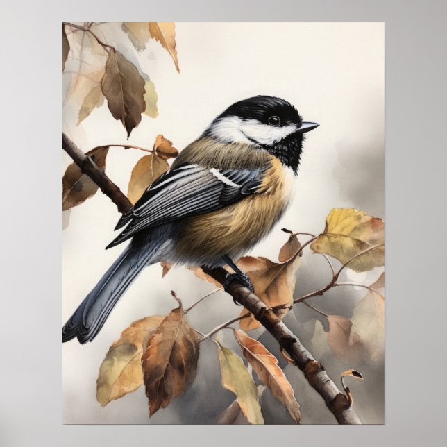 Chickadee Bird Art Print Poster  (Front)