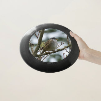 Chickadee Bird Frisbee