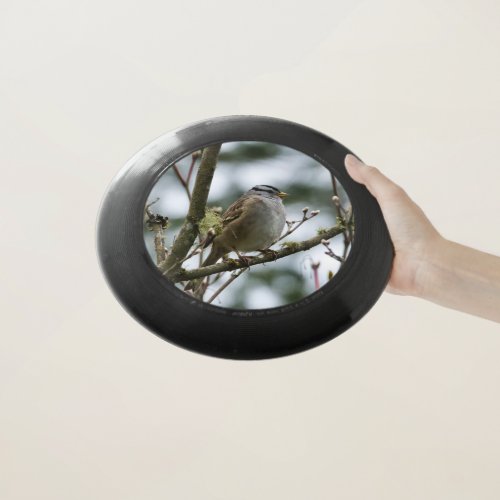 Chickadee Bird  Frisbee