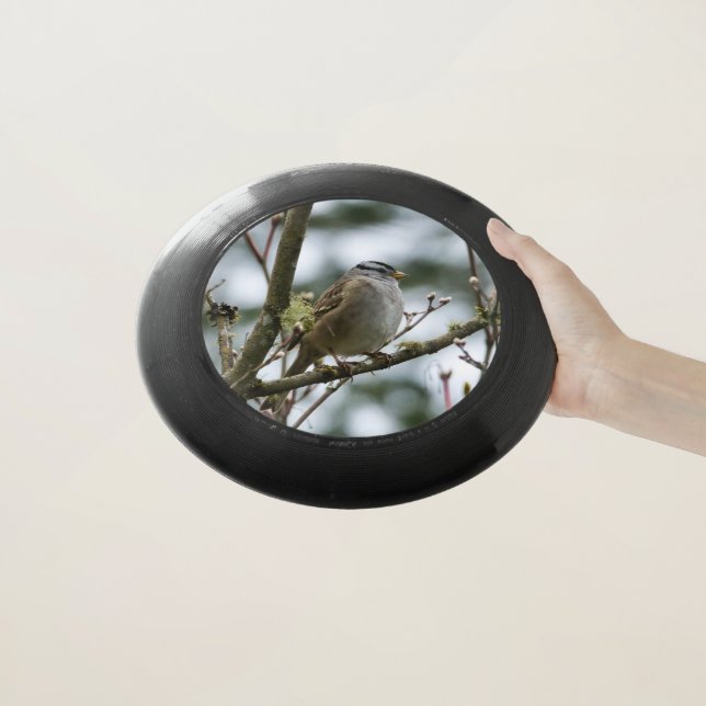 Chickadee Bird  Frisbee (In Hand)