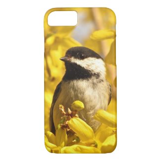 Chickadee Bird in Forsythia Flowers iPhone 7 Case