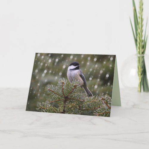 Chickadee Bird in Snow Fall Pine Tree Snowflakes Holiday Card