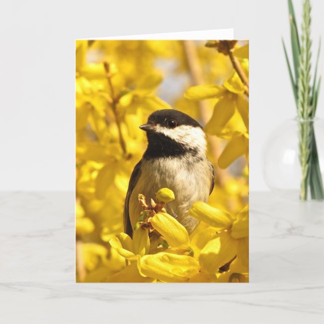 Chickadee Bird in Yellow Flowers Blank Card