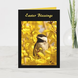 Chickadee Bird in Yellow Flowers Easter Holiday Card