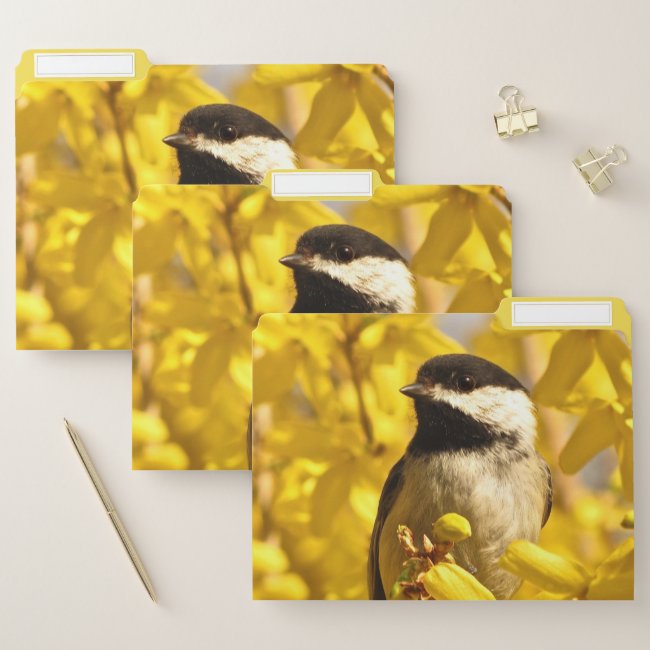 Chickadee Bird in Yellow Flowers File Folder Set