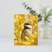 Chickadee Bird in Yellow Flowers Postcard (Standing Front)