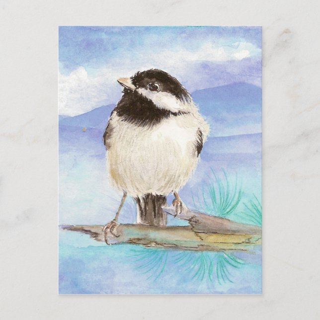Chickadee, Bird, Wildlife, Nature,  Postcard (Front)