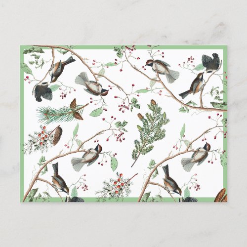 Chickadee Birds Berries  Pinecones Watercolor  Holiday Postcard