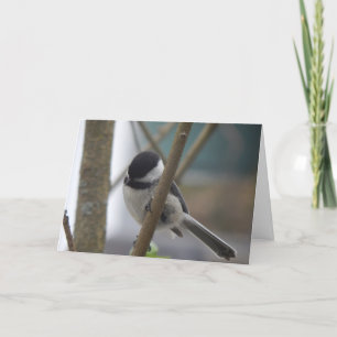 Chickadee Birthday Card
