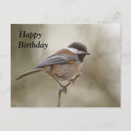 Chickadee Birthday Card