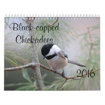 Chickadee Calendar by backyardwonders at Zazzle