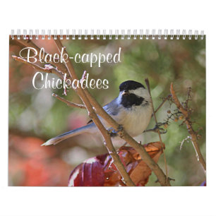 Chickadee Calendar