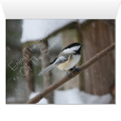 Chickadee Christmas Card (Inside Horizontal (Bottom))