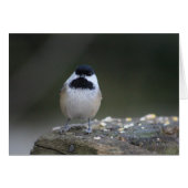 Chickadee Greeting Card (Front Horizontal)