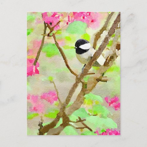 Chickadee in Cherry Tree Postcard