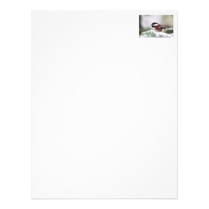 Chickadee in the Snow Letterhead Template