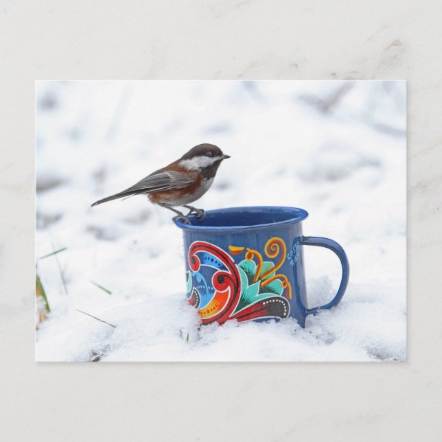 Chickadee in the Snow Postcard (Front)