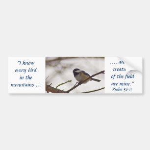 Chickadee on a Twig Bumper Sticker