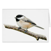 Chickadee on Branch (Front Horizontal)