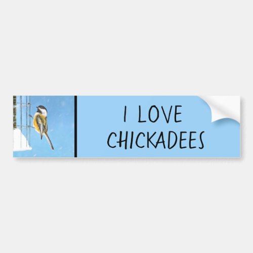 Chickadee on Feeder Painting _ Original Bird Art Bumper Sticker