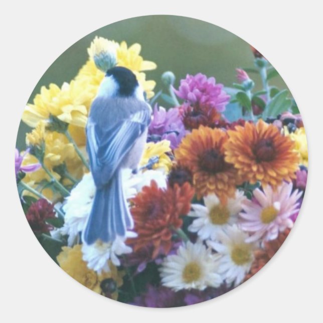 CHICKADEE ON MUMS CLASSIC ROUND STICKER (Front)