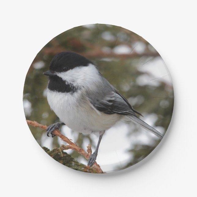 Chickadee Paper Plates (Front)