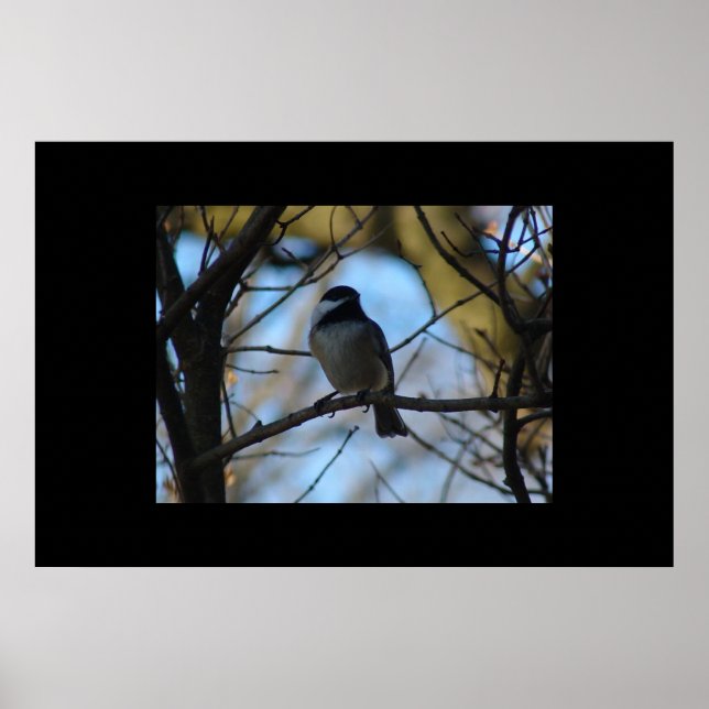 Chickadee Poster (Front)
