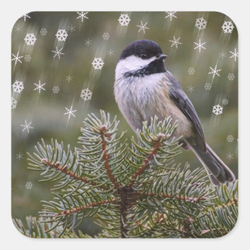 Chickadee Snow Flakes Pine Tree Winter Square Sticker