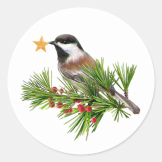 Chickadee Star Stickers