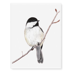 Chickadee Temporary Tattoos