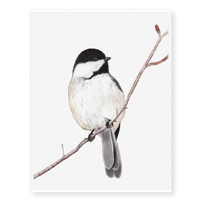 Chickadee Temporary Tattoos (Front)