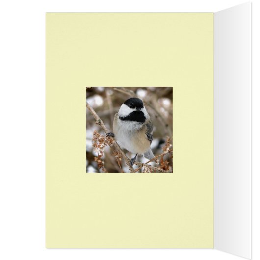 Chickadee Think Green (Inside (Left))