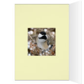 Chickadee Think Green Cards (Inside (Left))