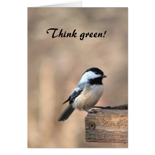 Chickadee Think Green Cards (Front)