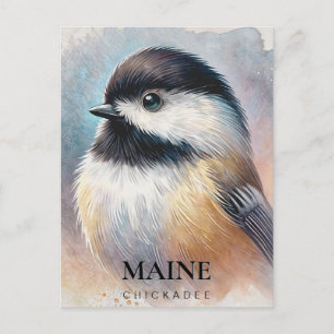 Chickadee Watercolor Art Maine Bird Postcard
