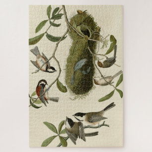 Chickadees and Bushtit, Audubon's Birds of America Jigsaw Puzzle