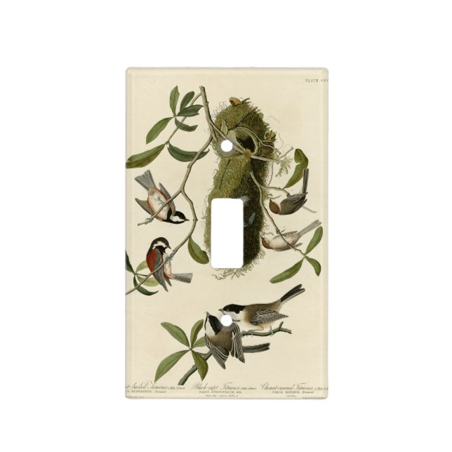 Chickadees and Bushtit, Audubon's Birds of America Light Switch Cover (Front)