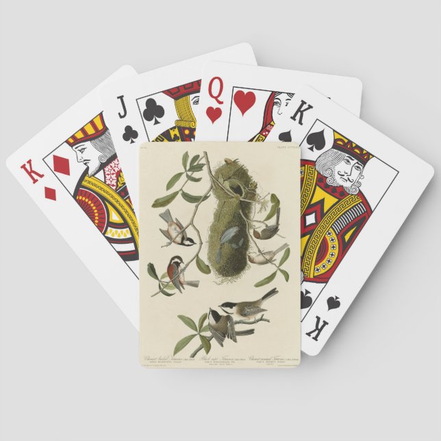 Chickadees and Bushtit, Audubon's Birds of America Poker Cards (Back)
